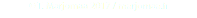 © T. Marjomaa 2017 / marjomaa.fi